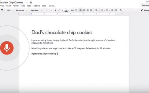 Google Docs 推出语音输入，彻底告别键盘？