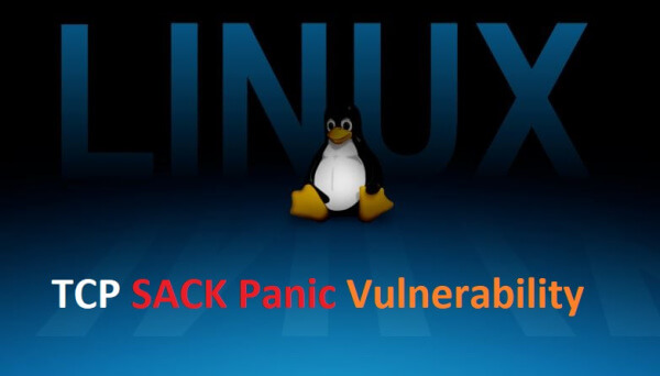Linux TCP