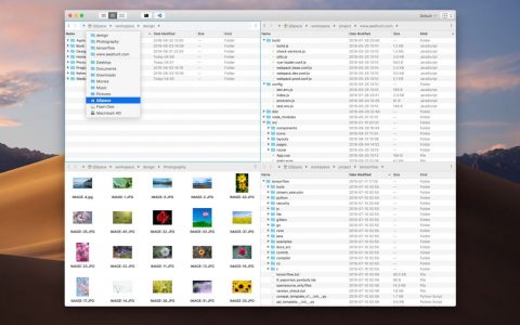 QSpace：一款MacOS多视图 “Finder” 效率工具(多视图文件管理)